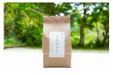 【新米】平井産 お米 ひのひかり 4kg ／ 古民家やまおか ふるさと納税 ひのひかり 奈良県 宇陀市 送料無料 スーパーセール 白米