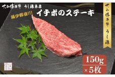 冷凍) イチボ ステーキ (150g×5枚 計750g ) ／ふるさと納税 牛肉 ステーキ イチボ 焼肉 いちぼ 大和榛原牛 稀少部位 赤身 もも A5 肉 和牛 キャンプ 父の日 母の日 お中元 お土産 赤身 正月 うし源 本店 奈良県 宇陀市