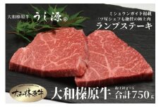 （冷凍） 大和榛原牛 稀少部位 赤身 あっさり もも ランプ ステーキ 150ｇ×5枚 計750ｇ ／ うし源 本店 ふるさと納税 A5 父の日 キャンプ バーベキュー 奈良県 宇陀市 お中元 贈答用 贈り物 暑中見舞い お土産 ステーキ 内祝い ブロック牛肉 盛り合わせ まとめ買い 切り落とし 焼肉 美味しい部位 キャンプ 送料無料 正月