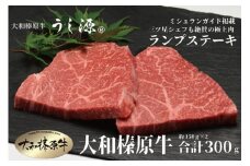 （冷凍） 大和榛原牛 稀少部位 赤身 あっさり もも ランプ ステーキ 150ｇ×2枚 計300ｇ ／ うし源 本店 ふるさと納税 A5 父の日 バーベキュー キャンプ 奈良県 宇陀市  お中元 贈答用 贈り物 暑中見舞い お土産 ステーキ 内祝い ブロック牛肉 盛り合わせ まとめ買い 切り落とし 焼肉 美味しい部位 キャンプ 送料無料 正月