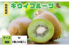 ＜12月以降順次発送＞こだわり プレミアムキウイフルーツ Mサイズ 17個×2箱入 追熟処理済／ ふるさと納税 キウイ キウイフルーツ ギフト 栄養 果物 お土産 化学肥料不使用 特別栽培 塩 奈良県 宇陀市 やまとファームJAPAN
