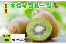 ＜12月以降順次発送＞こだわり プレミアムキウイフルーツ Lサイズ 14個×2箱入 追熟処理済／ふるさと納税 キウイ キウイフルーツ ギフト 栄養 果物 お土産 化学肥料不使用 特別栽培 塩 奈良県 宇陀市 やまとファームJAPAN