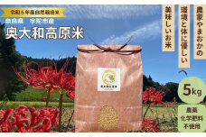 ★自然栽培米★新米【令和6年産】玄米 5kg ９月末より順次発送／自然栽培米 新米 令和6年産 玄米 農家やまおか 無農薬 国産 お米 奈良県 宇陀市 ふるさと納税 送料無料 農薬不使用