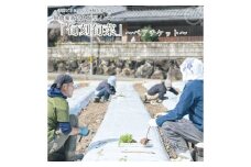 『旬刻旬菜』参加チケット（ペアチケット）家庭菜園のお悩みをプロ農家に相談できるランチ付き農業体験 ／ なつかしいみらいサービス 送料無料 チケット 無農薬栽培 農業体験 家庭菜園  ふるさと納税 奈良県 宇陀市
