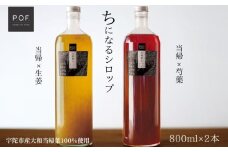 ちになるシロップ ＜大和当帰＞800ml × 2種セット ／POWER OF FOOD ふるさと納税 芍薬 生姜 シロップ 瓶 ガラス瓶 国産 食材 炭酸 大和当帰葉 有機 お湯割り 甜菜糖 ハチミツ はちみつ 送料無料 ち 奈良県 宇陀市