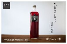 ちになるシロップ 大和当帰×芍薬 800ml 1本／POWER OF FOOD ふるさと納税 芍薬 シロップ 瓶 ガラス瓶 国産 食材 炭酸 大和当帰葉 有機 お湯割り 甜菜糖 ハチミツ はちみつ 送料無料 ち 奈良県 宇陀市