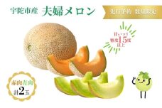 糖度15度以上 !!＜令和７年産先行予約受付中 / 数量限定＞宇陀市産 夫婦メロン 計2玉(青肉・赤肉 各1玉ずつ)／ みやび農園 メロンセット 贈答 贈り物 紅白お祝い 食べ比べ 奈良県 宇陀市