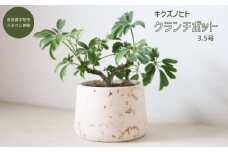 クランチポット3.5号 / おしゃれ 木製 プランター 植木鉢 インテリア 室内 プレゼント 贈答品 キクズノヒト 奈良県 宇陀市 ふるさと納税
