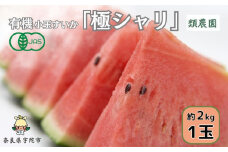 ＜予約販売＞【7月下旬〜8月上旬出荷】有機小玉すいか　「極シャリ」約2kg／ふるさと納税 有機 小玉すいか 極シャリ 贈答 ギフト お盆 お供え デザート おいしい 奈良県 宇陀市 類農園
