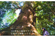 100年生の 森林ツアー ＆ 伝統木工体験 inうだ プレミアム／ 体験 関西 子供 親子 チケット 森林浴 ハイキング 木工体験 伝統工芸 林業 夏休み 宿題 MORITO 森庄 森庄銘木産業 奈良県 宇陀市 ふるさと納税