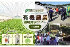 有機農業 圃場見学 ツアー お土産付  5名様迄／ 農業 農家 有機野菜 オーガニック 無農薬 SDGs 関西 体験 チケット カレー 山口農園 奈良県 宇陀市 ふるさと納税