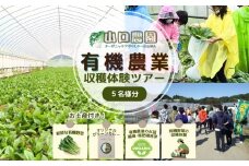 有機農業 収穫体験 ツアー お土産付  5名様迄／ 農家 有機野菜 オーガニック 無農薬 SDGs 関西 チケット カレー 山口農園 奈良県 宇陀市 ふるさと納税