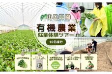 有機農業 就業体験 ツアー お土産付  10名様迄／ 収穫体験 種まき トラクター 農家 有機野菜 オーガニック 無農薬 SDGs 関西 チケット カレー 山口農園 奈良県 宇陀市 ふるさと納税