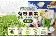 有機農業 染物 アート 体験 お土産付  5名様迄／ 畑見学 食べられる染料 Nara Green 抹菜 農家 有機野菜 オーガニック 無農薬 SDGs 関西 チケット カレー 山口農園 奈良県 宇陀市 ふるさと納税
