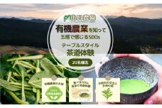 有機農業 を知って五感で感じる SDGs テーブルスタイル 茶道 体験 20名様迄／ 畑見学 食べられる染料 Nara Green 抹菜 農家 有機野菜 オーガニック 無農薬 関西 チケット カレー 山口農園 奈良県 宇陀市 ふるさと納税