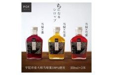 ちになるシロップ ＜大和当帰＞150ml 3種セット ／ふるさと納税 芍薬 生姜 棗 シロップ 瓶 ガラス瓶 国産 食材 炭酸 大和当帰葉 有機 お湯割り 甜菜糖 ハチミツ はちみつ ち 奈良県 宇陀市 POWER OF FOOD