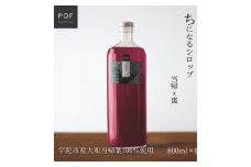 ちになるシロップ＜大和当帰×棗＞800ml 1本／ ふるさと納税 棗 シロップ 瓶 ガラス瓶 国産 食材 炭酸 大和当帰葉 有機 お湯割り 甜菜糖 ハチミツ はちみつ ち 奈良県 宇陀市 POWER OF FOOD 

