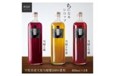 ちになるシロップ ＜大和当帰＞800ml × 3種セット ／ふるさと納税 芍薬 生姜 棗 シロップ 瓶 ガラス瓶 国産 食材 炭酸 大和当帰葉 有機 お湯割り 甜菜糖 ハチミツ はちみつ ち 奈良県 宇陀市 POWER OF FOOD 
