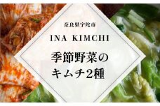 季節野菜のキムチ500g×2種類／ ふるさと納税 キムチ ふるさと 白菜 キャベツ 大根 赤キムチ 白キムチ 料理 グルメ INA Lab INA KIMCHI 取り寄せ 室生 奈良県 宇陀市