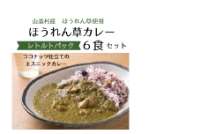 山添村の“ほうれん草カレー”6食セット