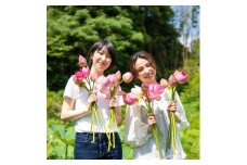 花ハス取り体験１名様