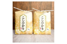 9月〜10月発送予約 切幡営農組合のコシヒカリ 令和7年産 精米5kg×2袋
