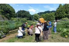  竹を切り出してレーンから作る本格流しそうめん体験 （大人２名、小学生１名）