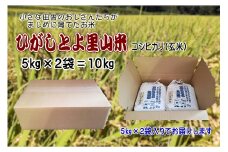 【令和7年産】ひがしとよ里山米 玄米10kg(5kg×2袋)