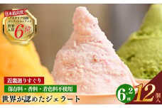ｲﾀﾘｱﾝｼﾞｪﾗｰﾄmamma～近畿選りすぐり12個セット～ | お菓子 おやつ アイス クリーム ジェラート いちご ほうじ茶 雪塩 バニラ 素材  ヘルシー アイスクリーム 奈良県 平群町