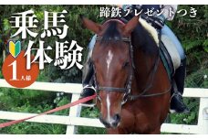 体験乗馬(蹄鉄プレゼントつき) | 馬 乗馬 未経験者歓迎 体幹トレーニング ふれあい 奈良県 平群町