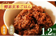 酵素玄米ごはん(長岡式)  約1.2kg  | 玄米 げんまい ゲンマ イ 酵素玄米  美容 健康 酵素 パウチ 冷凍 ヘルシー 米 奈良県 平群町 3日間寝かせた