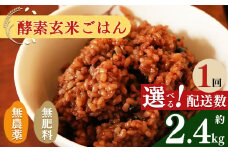 酵素玄米ごはん(長岡式)　約2.4kg  | 玄米 げんまい ゲンマ イ 酵素玄米  美容 健康 酵素 パウチ 冷凍 ヘルシー 米 奈良県 平群町 3日間寝かせた