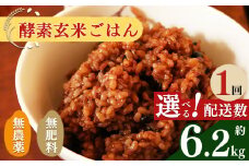 酵素玄米 ごはん ( 長岡式 ) 約 6.2kg | | 米 こめ コメ 玄米 ごはん げんまい ゲンマ イ 酵素玄米 発酵 美容 健康 酵素 主食 パウチ 冷凍 ヘルシー 米 エミニニ オーガニック ファーム 無農薬 無肥料 小豆 塩 消化がいい アンチエイジング 便秘解消 モチモチ感 オーガニックカフェ イマジン 奈良県 平群町 3日間寝かせた