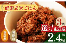 【定期便3回】酵素玄米ごはん(長岡式)  約2.4kg×3回  | 玄米 げんまい ゲンマ イ 酵素玄米  美容 健康 酵素 パウチ 冷凍 ヘルシー 米 奈良県 平群町 3日間寝かせた