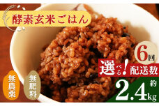 【定期便6回】酵素玄米ごはん(長岡式)  約2.4kg×6回 | 玄米 げんまい ゲンマ イ 酵素玄米  美容 健康 酵素 パウチ 冷凍 ヘルシー 米 奈良県 平群町 3日間寝かせた