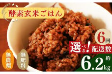 【 定期便 6回 】酵素玄米 ごはん ( 長岡式 ) 約 6.2kg | | 米 こめ コメ 玄米 ごはん げんまい ゲンマ イ 酵素玄米 発酵 美容 健康 酵素 主食 パウチ 冷凍 ヘルシー 米 エミニニ オーガニック ファーム 無農薬 無肥料 小豆 塩 消化がいい アンチエイジング 便秘解消 モチモチ感 オーガニックカフェ イマジン 奈良県 平群町 3日間寝かせた