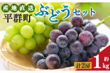 平群のぶどう（巨峰・ピオーネ等）＆ シャインマスカット（各1房 計2房）約1kg | フルーツ ぶどう 葡萄 ブドウ 巨峰 ピオーネ シャイン マスカット 奈良県 平群町