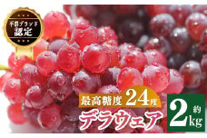 平群ブランド デラウェア 2kg （9~13房入り）| フルーツ 果物 くだもの ぶどう ブドウ 葡萄 デラ ウェア 奈良県 平群町