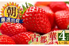 平群の古都華 いちご L~３Lサイズ から2種（2パック2ケース）計4パック 苺屋小東 | 果物 くだもの フルーツ 苺 イチゴ いちご ストロベリー 古都華 ことか 旬の品種 奈良県 平群町 高級 ブランド苺 旬 産地 直送 限定出荷 ふるさと納税苺