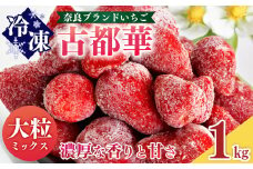 平群の古都華 冷凍いちご ミックスサイズ 1kg | フルーツ 果物 くだもの いちご 苺 イチゴ 古都華 ことか 冷凍  アイス 製菓 材料 ミックス スムージー  奈良県 平群町 扇田農園