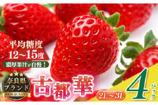 平群の古都華 2L～3Lサイズ 2ケース （4パック） | 先行予約 フルーツ 果物 くだもの ブランド いちご 苺 古都華 ことか 品種 特徴 糖度 ルビー色 旬 ふるさと納税 奈良県 平群 町