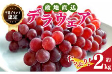 デラウェア L～2L （11～16房） 約2kg | フルーツ ぶどう 葡萄 ブドウ デラ ウェア 奈良県 平群町