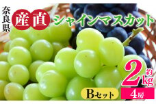 シャインマスカットと季節のぶどう セットB（4房入り）約2kg | フルーツ 果物 くだもの ぶどう 葡萄 ブドウ シャイン マスカット 奈良県 平群町 季節 セット