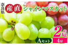 シャインマスカットと季節のぶどう セットA（4房入り）約2kg | フルーツ 果物 くだもの ぶどう 葡萄 ブドウ シャイン マスカット 奈良県 平群町 季節 セット