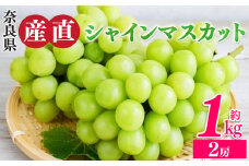 シャインマスカット 2房 （ 約1kg ）| フルーツ 果物 くだもの ぶどう 葡萄 ブドウ シャイン マスカット 奈良県 平群町