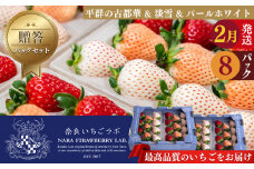 いちご 平群の 古都華 ＆ 淡雪 ＆ パールホワイト （2パック×4ケース） 計8パック 奈良いちごラボ 2月発送 | 果物 くだもの フルーツ 苺 イチゴ いちご ストロベリー 古都華 ことか 淡雪 パールホワイト 旬の品種 産地直送 奈良県 平群町