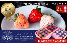 【贈答】平群の古都華 & 淡雪 & パールホワイト ピンクミニ 玉手箱 （ 3段 ）  2月発送  | フルーツ果物 くだもの いちご 苺 イチゴストロベリー 古都華旬 淡雪  パールホワイト  豪華 セット 奈良県 平群町
