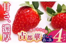 平群の古都華 2L～3Lサイズ （2パック 1ケース） 計2パック 辻本農園  | 果物 くだもの フルーツ 苺 イチゴ いちご ストロベリー 古都華 ことか 旬の品種 産地直送 奈良県 平群町