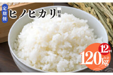 【 定期便 12回 】令和6年産 ヒノヒカリ 精米 10kg  奈良県産（ 計120kg ） | 米 こめ コメ お米 おこめ  令和6年産 令和6年 ひのひかり 奈良県 平群町 ライス 新米