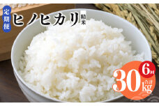 【 定期便 6回 】令和6年産 ヒノヒカリ 精米 5kg  奈良県産（ 計30kg ） | 米 こめ コメ お米 おこめ  令和6年産 令和6年 ひのひかり 奈良県 平群町 ライス 新米
